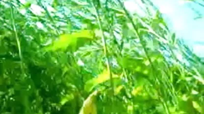 जागो डार्लिंग, मुझे तुम्हें धूल चटाने की फुल मूवी वीडियो में सेक्सी जरूरत है
